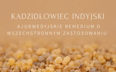Kadzidłowiec: skutki uboczne? Zanim zażyjesz, poznaj ryzyko!