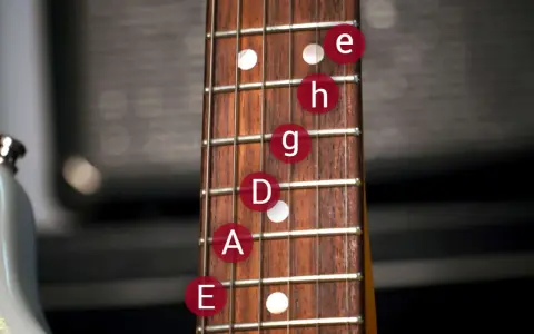 Gitarrenhals mit e-Bass beschriftung. Noten E, A, D, G, H, e sind auf den Saiten markiert.