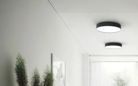 Nowoczesny korytarz z dwoma okrągłymi plafonami led 80 cm, roślinami i minimalistyczną sztuką.