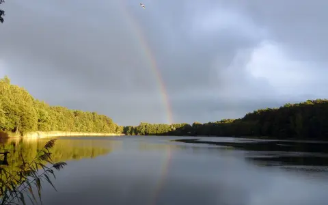 Tęcza nad jeziorem Tuczno po deszczu, z lasem w tle i ptakiem na niebie.