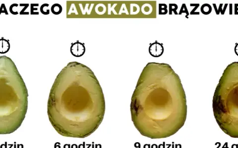 Awokado w lodówce? Kiedy tak, a kiedy nie! Sekret świeżości