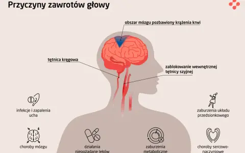 Przyczyny zawrotów głowy u osób starszych: blokada tętnicy, choroby mózgu, infekcje ucha, zaburzenia metaboliczne i sercowo-naczyniowe.