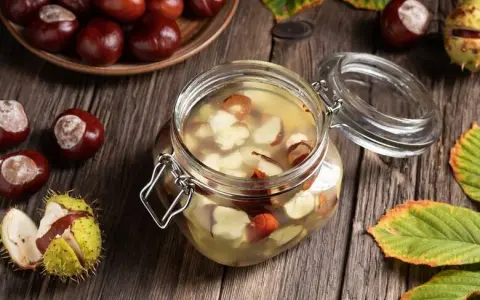 Nalewka z kasztanów: prosty przepis na żylaki i bóle stawów