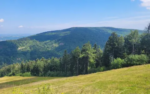Zielone, zalesione wzgórza Myślenic pod błękitnym niebem. Słoneczna polana na pierwszym planie.