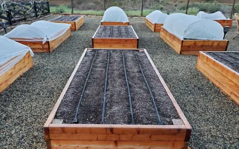Raised garden beds are covered with white fabric, showing what to cover plants with for frost.