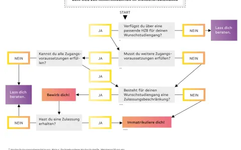 Flussdiagramm zum Auswahlverfahren der Hochschule: Prüft HZB, Zugangsvoraussetzungen und Zulassungsbeschränkungen für die Immatrikulation.
