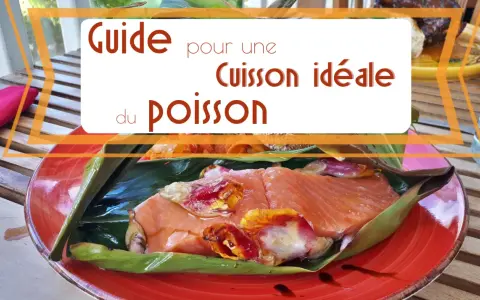 Guide pour une cuisson idéale du poisson. Un filet de saumon cru, garni de légumes, est enveloppé dans des feuilles vertes sur une assiette rouge.