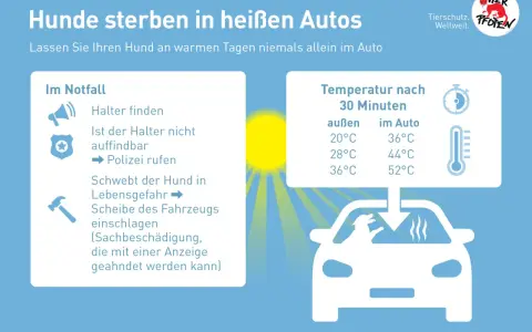 Hunde sterben in heißen Autos. Lassen Sie Ihren Hund niemals allein im Auto. Die Temperatur steigt schnell an und wird zur tödlichen Gefahr.