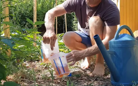 Un homme verse un liquide ambré d'une bouteille dans un pichet gradué, prêt à arroser son jardin.