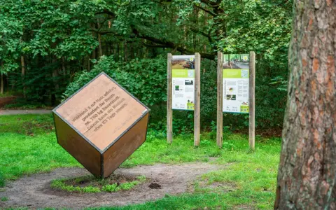 Ein großer Holzwürfel mit Text über Sauerstoffproduktion steht im Wald. Daneben informieren zwei Tafeln über klimafreundliches Leben.