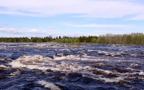 Forsande vatten i Tornedalen. En karta över området skulle visa hur denna mäktiga älv slingrar sig genom landskapet.