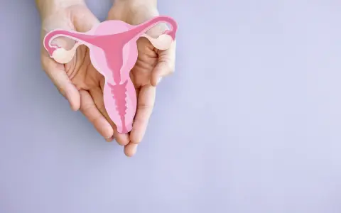 Dłonie trzymają model macicy. Szyjka macicy 2 cm kiedy poród zbliża się wielkimi krokami.