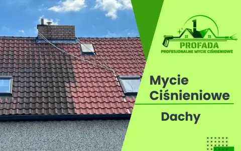 Profesjonalne mycie dachu ciśnieniowe. Efekt czystej dachówki po zabiegu.