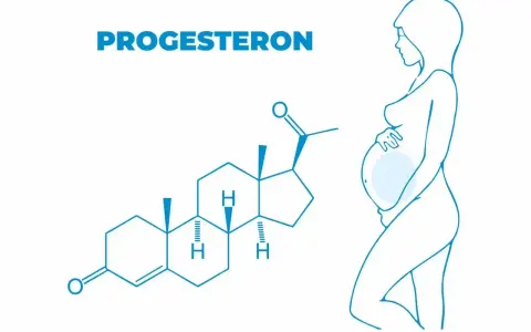 Struktura chemiczna progesteronu i sylwetka kobiety w ciąży. Dowiedz się, jak naturalnie podnieść progesteron.