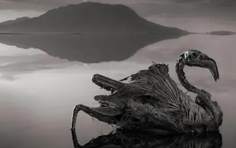 Szkielet ptaka na tle jeziora Natron. Woda odbija góry, tworząc surrealistyczny krajobraz. Jezioro Natron, znane z konserwujących właściwości, zachowuje szczątki zwierząt.