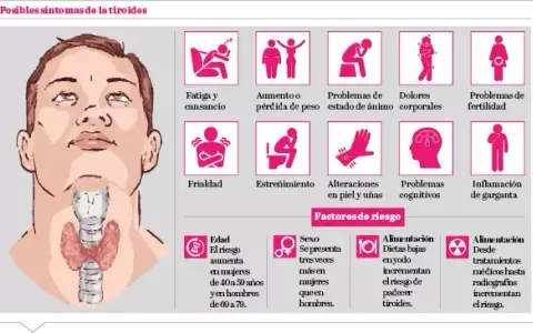 Síntomas de tiroides en mujeres: ¿Reconoces las señales clave?