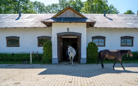 Stadnina Koni Opypy: Wszystko, co musisz wiedzieć przed wizytą