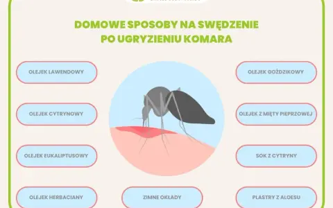 Domowe sposoby na ugryzienie komara: olejki lawendowy, cytrynowy, goździkowy, z mięty pieprzowej, eukaliptusowy, herbaciany, sok z cytryny, zimne okłady, plastry z aloesu.