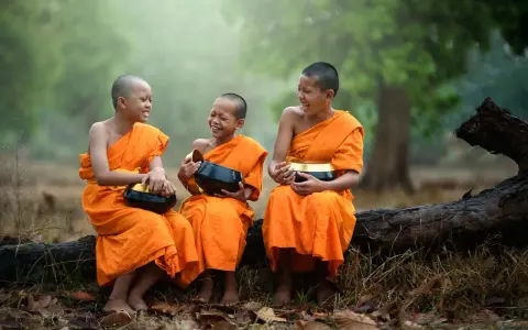 Three young monks in orange robes laugh heartily while holding alms bowls. They are sitting on a fallen log in a serene, misty forest.