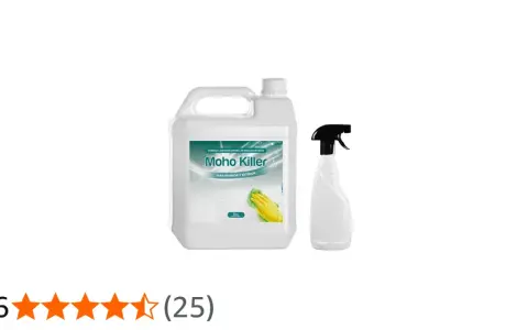 Limpia moho de azulejos y juntas: Guía eficaz para un baño sano