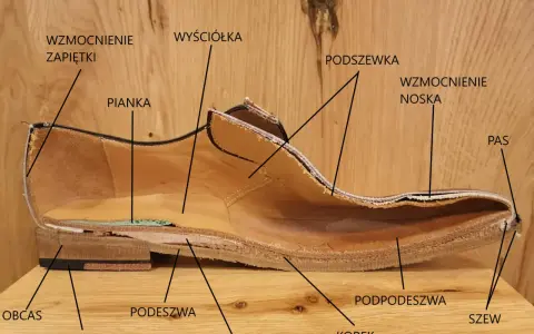 Przekrój buta ukazujący jego budowę: cholewka, podeszwa, obcas, wyściółka, pianka, wzmocnienia i inne elementy.