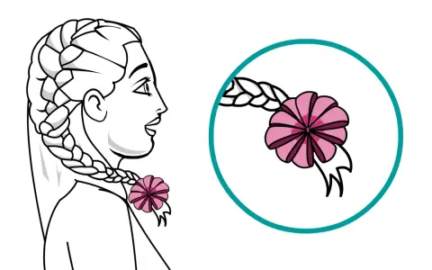 Dessin d'une femme avec une tresse ornée d'une fleur rose. Gros plan sur la tresse et la fleur dans un cercle.
