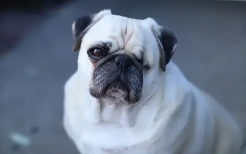 MOPS a mieszkanie: Jak uzyskać pomoc? Sprawdź realne formy wsparcia
