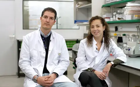 Médico clínico vs. investigador: ¿Cómo unir ambos mundos en España?