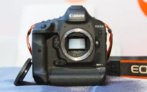 Profesjonalny aparat Canon EOS-1D Mark II, gotowy do pracy. Widoczny przebieg aparatu z obiektywem.