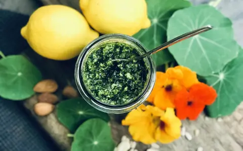 Frisches Pesto aus Kapuzinerkresse, garniert mit Zitronen, Nüssen und Blüten. Ein Genuss zum Kapuzinerkresse essen!