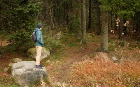 Mężczyzna w zielonej kurtce stoi na skale, podziwiając leśne **szlaki Gór Stołowych**.