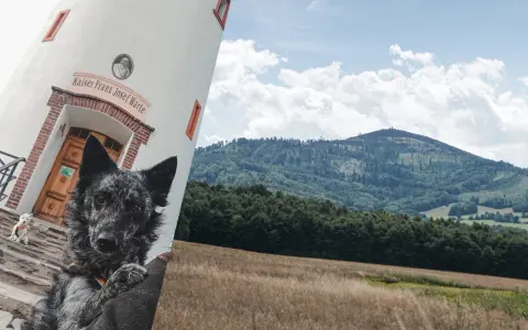 Dwa psy przy wieży Kaiser Franz Josef Warte, w tle malowniczy krajobraz z Biskupią Kopą.