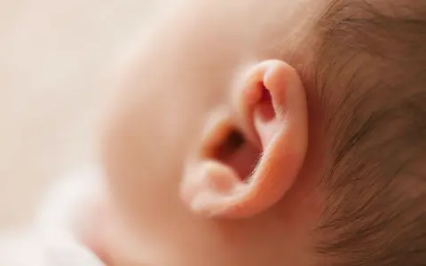 Primer plano de la oreja de un bebé, mostrando la delicada piel y el vello fino. Podría ser el inicio de un eczema oreja bebe.