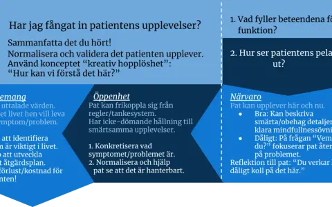 Bedömning av patientens upplevelser: Engagemang, öppenhet och närvaro. Fokus på att förstå och validera patientens situation, med en fokuserad act för att hantera problem.