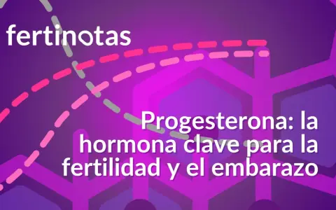 Progesterona: la hormona clave para la fertilidad y el embarazo. El texto "fertinotas" aparece en la parte superior.