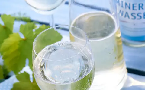 Erfrischende Weinschorle mit Mineralwasser, perfekt für den Sommer. Ein einfaches Weinschorle Rezept für heiße Tage.