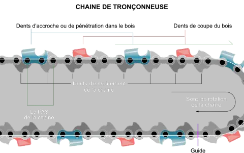 Détail d'une chaîne de tronçonneuse montrant le pas et le sens de rotation. Les dents d'entraînement bleues et rouges sont visibles.