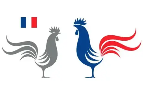 Dos gallos estilizados, uno gris y otro azul con cola roja, junto a la bandera francesa. El gallo es el animal nacional de Francia.
