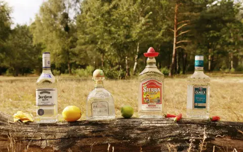 Vier Flaschen Tequila, darunter Jose Cuervo Especial Silver, Sierra Tequila Silver und Olmeca Tequila Blanco, liegen auf einem Baumstamm. Ein Zitronen- und ein Limettenstück sowie Chilis und Tortilla-Chips vervollständigen das Bild. Ob Tequila gold ode...