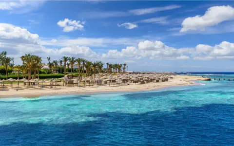 Piękna plaża w Marsa Alam, luty. Słoneczna pogoda, palmy, leżaki i turkusowe morze.