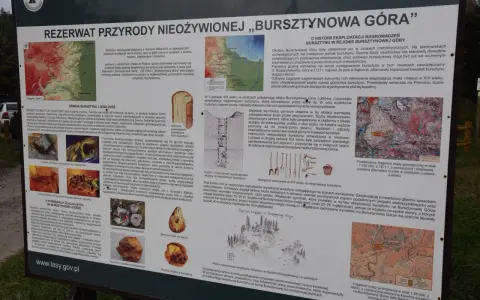 Rezerwat przyrody "Bursztynowa Góra" to miejsce, gdzie można podziwiać ślady dawnej eksploatacji bursztynu.