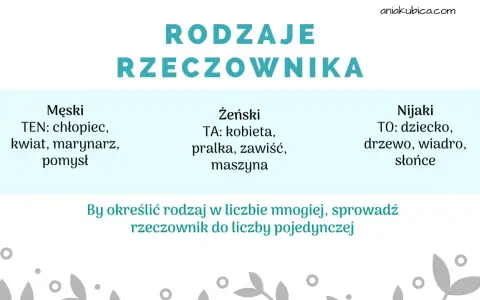 Rodzaje rzeczownika: męski (ten), żeński (ta), nijaki (to). Jakie pytania pomogą określić rodzaj?
