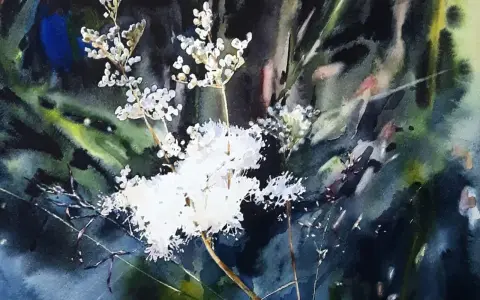 Vattenfärgsmålning av vita blommor i mörkgrönt, där tekniken att måla vått i vått ger en drömsk känsla.