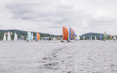 Viele Melges 24 Boote segeln auf dem Wasser, einige mit bunten Segeln, vor einer bewaldeten Küste.