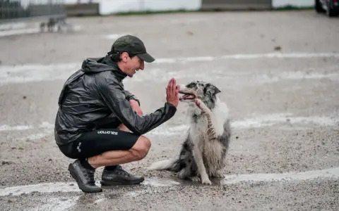 Trener daje piątkę swojemu psu do biegania po treningu w deszczu.