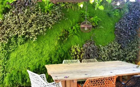 Un jardín vertical exuberante, con un diseño que recuerda al moss graffiti, crea un telón de fondo natural para una mesa de madera y sillas coloridas.