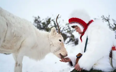 En ung person i samedräkt matar en ren i snön. En vacker scen från ett film om samer.