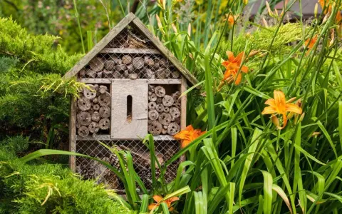 Ett insektshotell i trä, fyllt med träbitar och bamburör, står i en lummig trädgård bland gröna blad och orange liljor. En perfekt insektshotell placering för att locka pollinerare.
