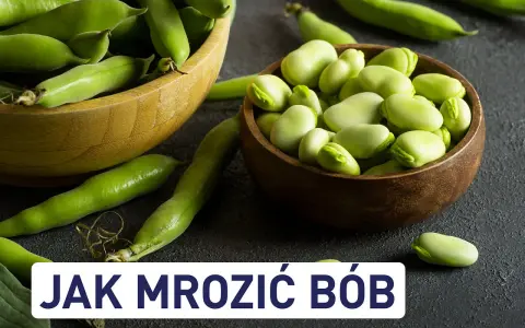 Świeży bób w łupinach i wydłubane ziarna w miseczkach. Dowiedz się, czy bób można mrozić, by cieszyć się nim dłużej.