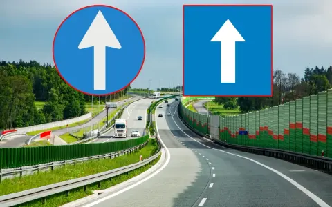 Dwa znaki drogowe: okrągły z białym strzałką w górę i kwadratowy z białą strzałką w górę. Oba wskazują kierunek jazdy na drodze jednokierunkowej.